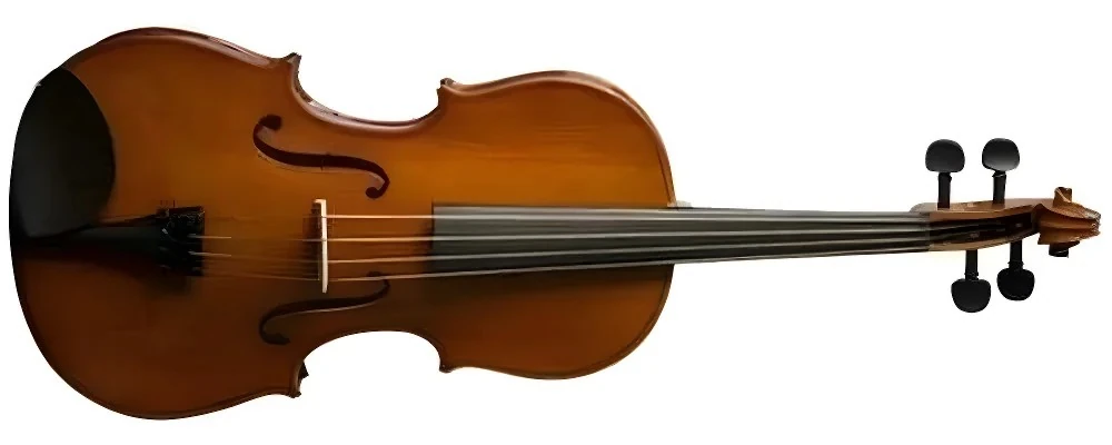 VALENCIA VA16040 VİYOLA KUTULU 15,5'' (40cm)