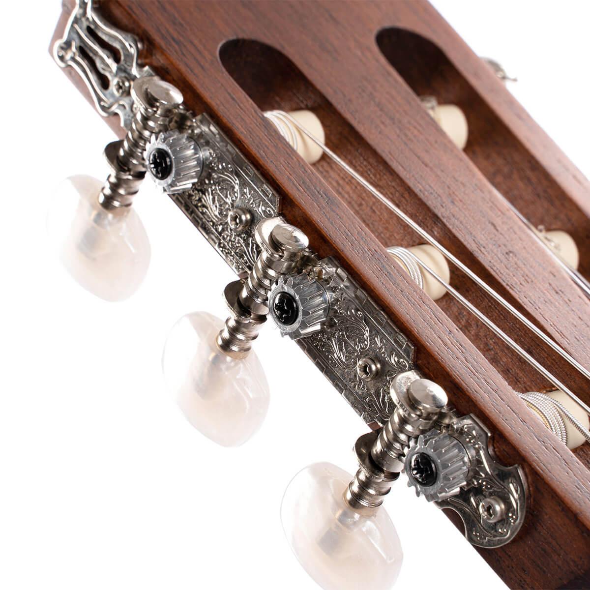 Cort AC 100SG Klasik Gitar