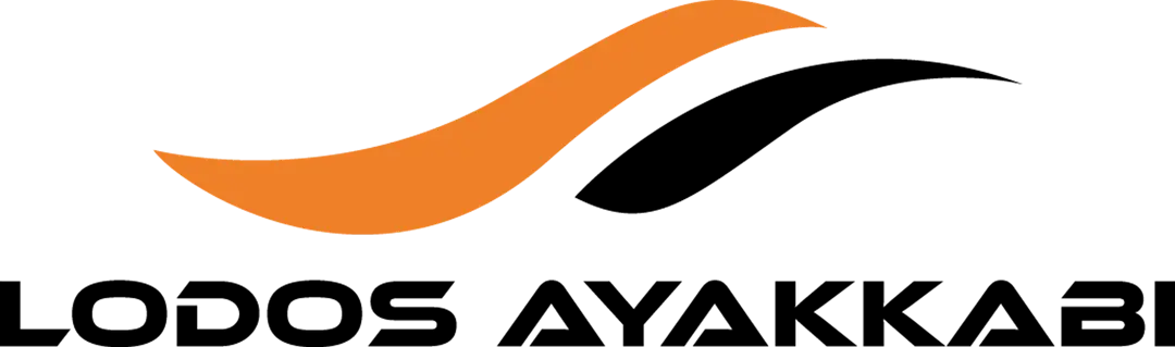 Lodos Ayakkabı | Vicco Çocuk ve Bebek Ayakkabısı | Vicco Resmi Partner logo