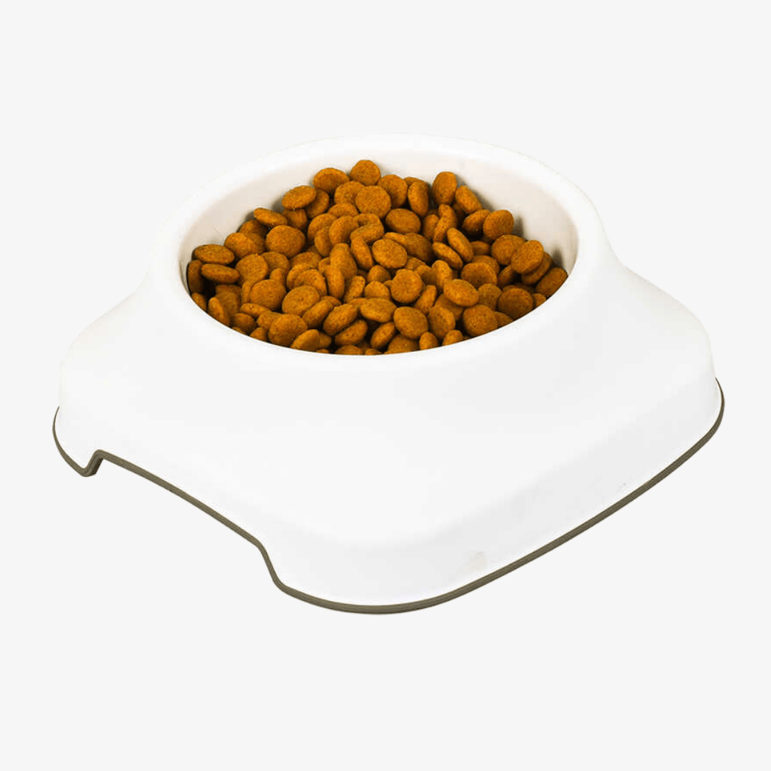 Pet PlastArt Mama Kabı 2 Litre