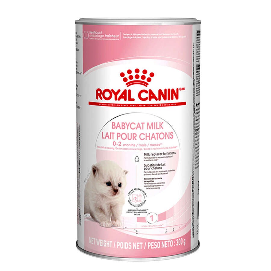 Royal Canin Yavru Kedi Süt Tozu (300 g)