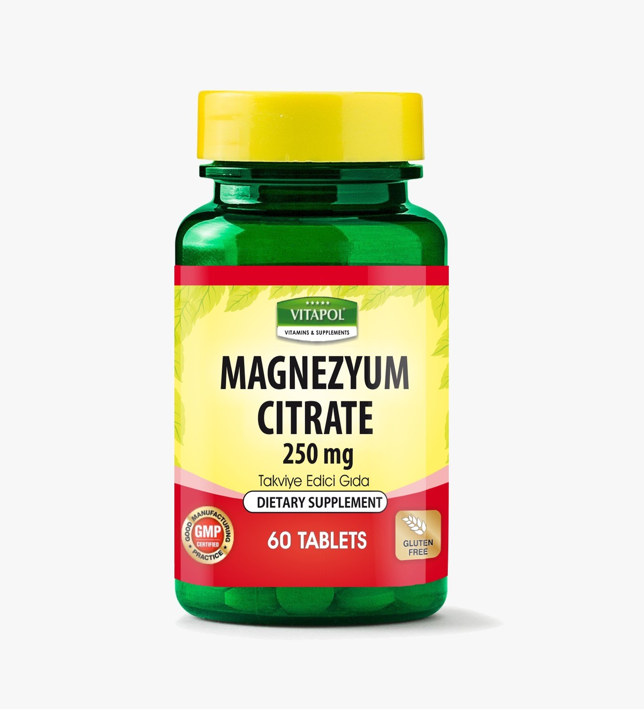 VITAPOL MAGNEZYUM CİTRATE & B6 100 TABLET