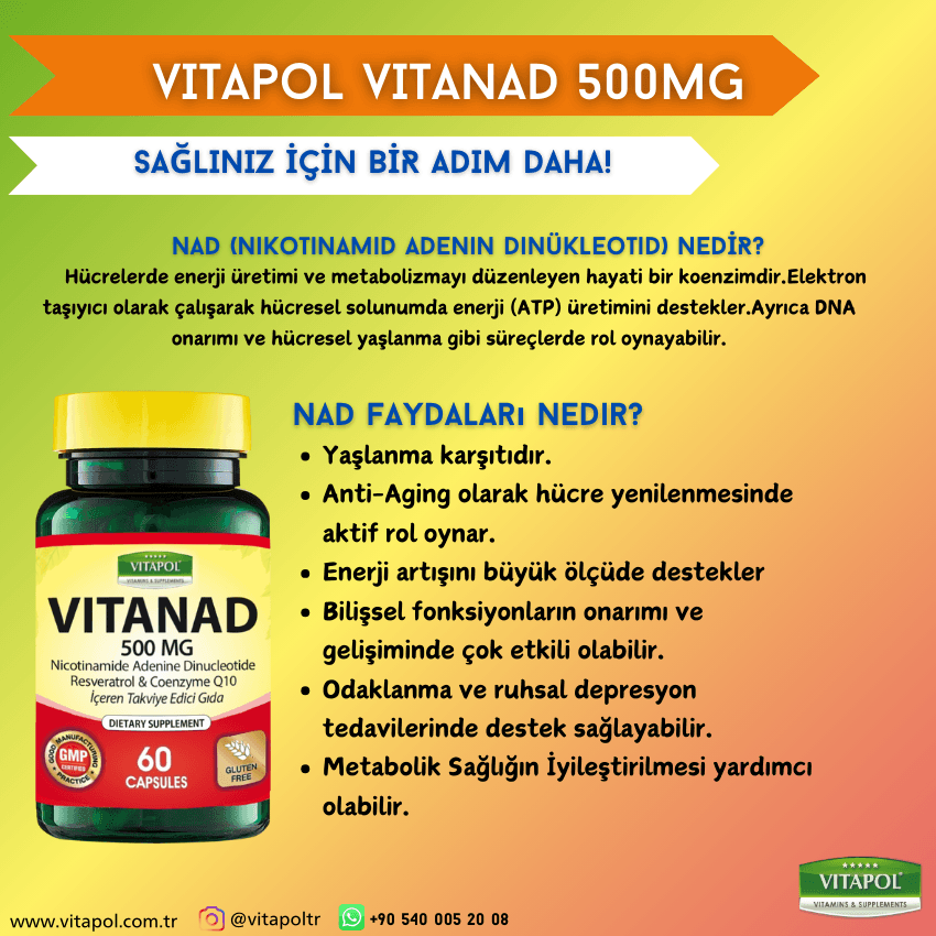 VITANAD 500 MG 60 Kapsül Resveratrol&Koenzim Q10