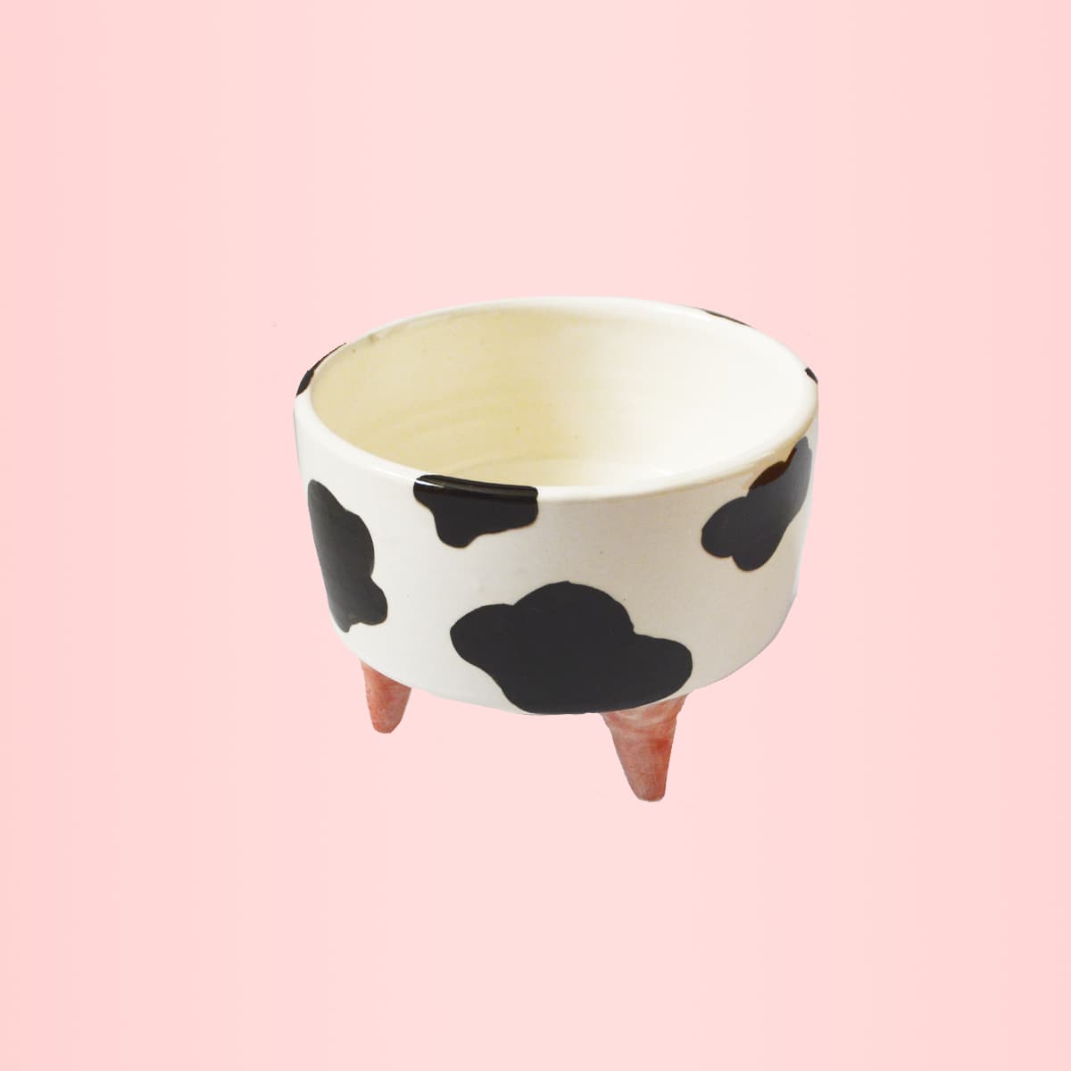 Cow Çini Saksı
