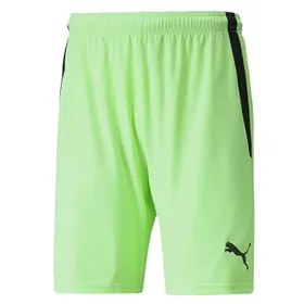 Puma team LIGA GK Kaleci Takımı 705646 (Forma + Şort + Konç)