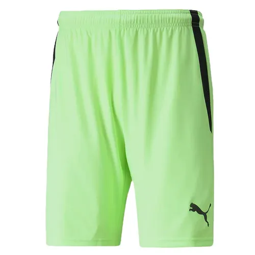 Puma team LIGA GK Kaleci Takımı 705646 (Forma + Şort + Konç)
