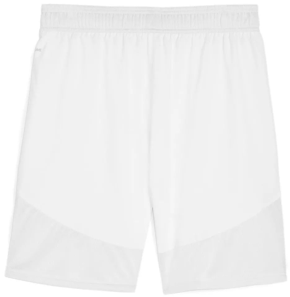 Puma TeamFinal Shorts 705743-04 