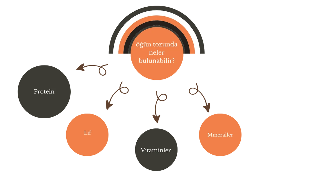 öğün tozu genel olarak yukarıdaki besin öğelerini içerir. fonksiyonlarına göre bu içerikler farklılık gösterebilir.