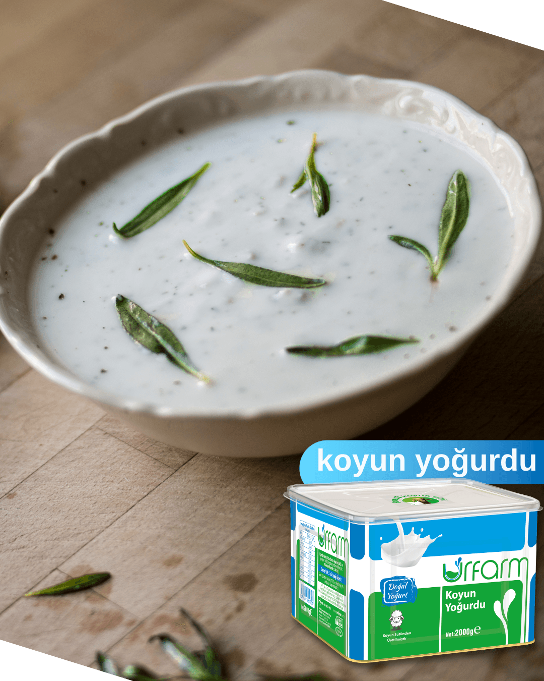 Koyun Yoğurdu