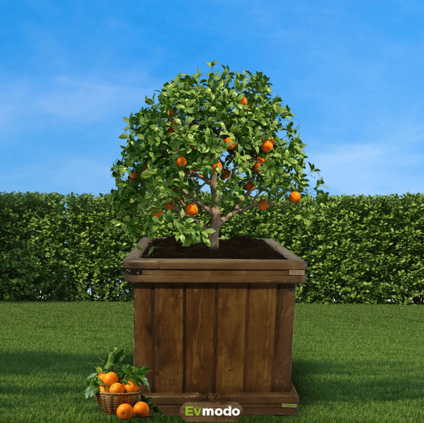 Ahşap Saksı 48x48x50 | Dış Mekan Dekoratif Ağaç Saksısı - Ceviz