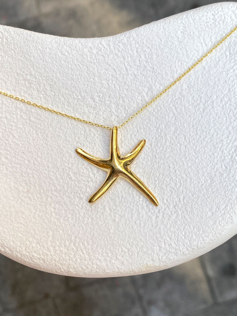 925 Gümüş | Deniz Yıldızı Kolye