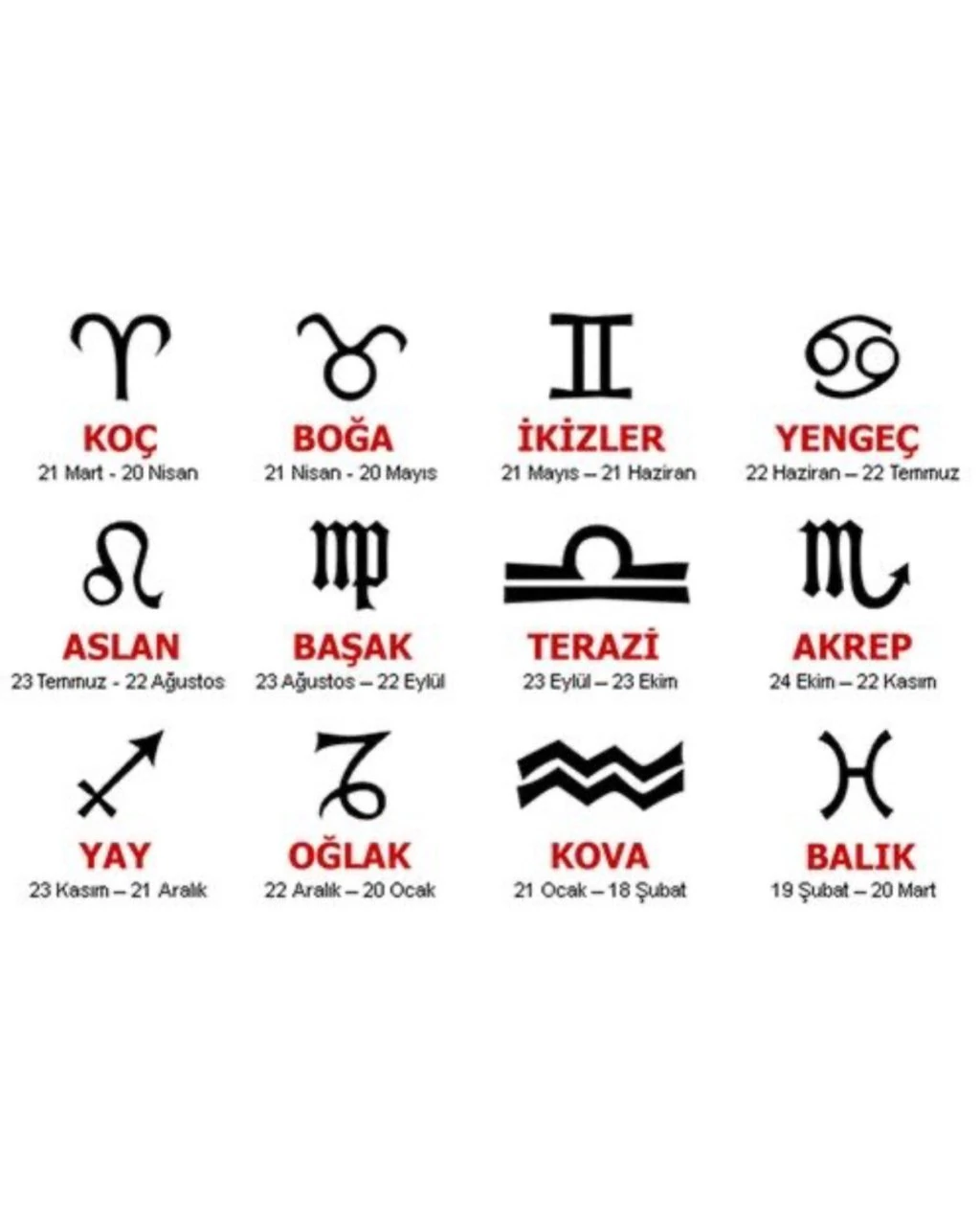 925 Gümüş | Doğum Ayı Taşlı Burç Sembolü Kolye