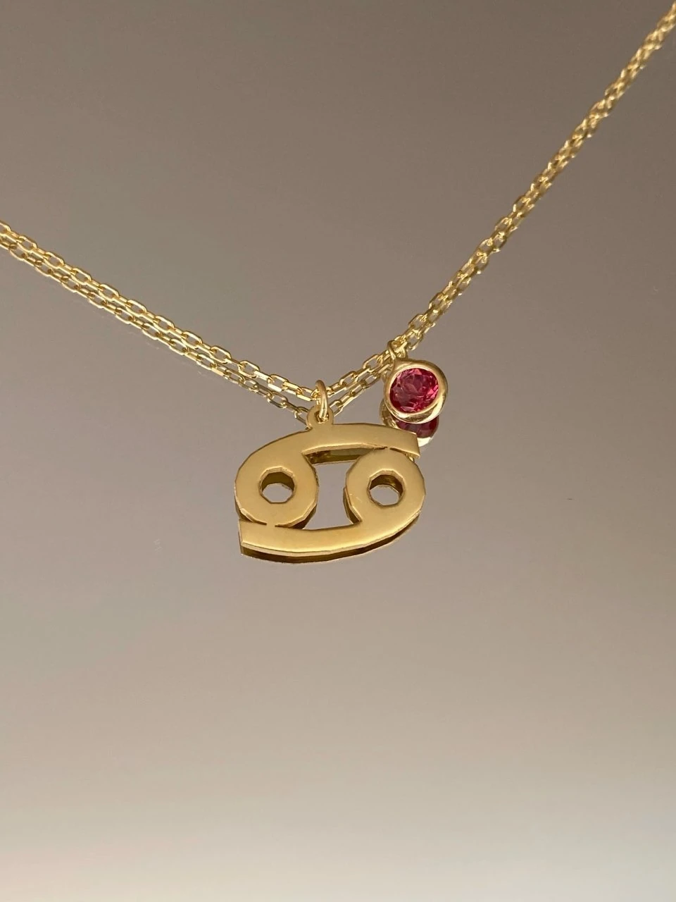 925 Gümüş | Doğum Ayı Taşlı Burç Sembolü Kolye