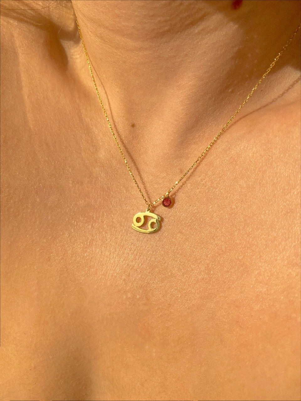 925 Gümüş | Doğum Ayı Taşlı Burç Sembolü Kolye