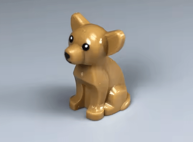 Chihuhua Köpek