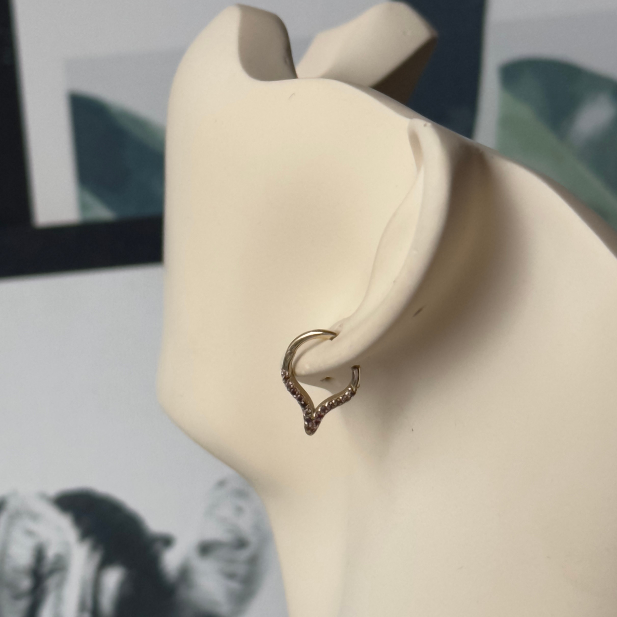 14K Gold Hoop Helix and Noise Piercing 