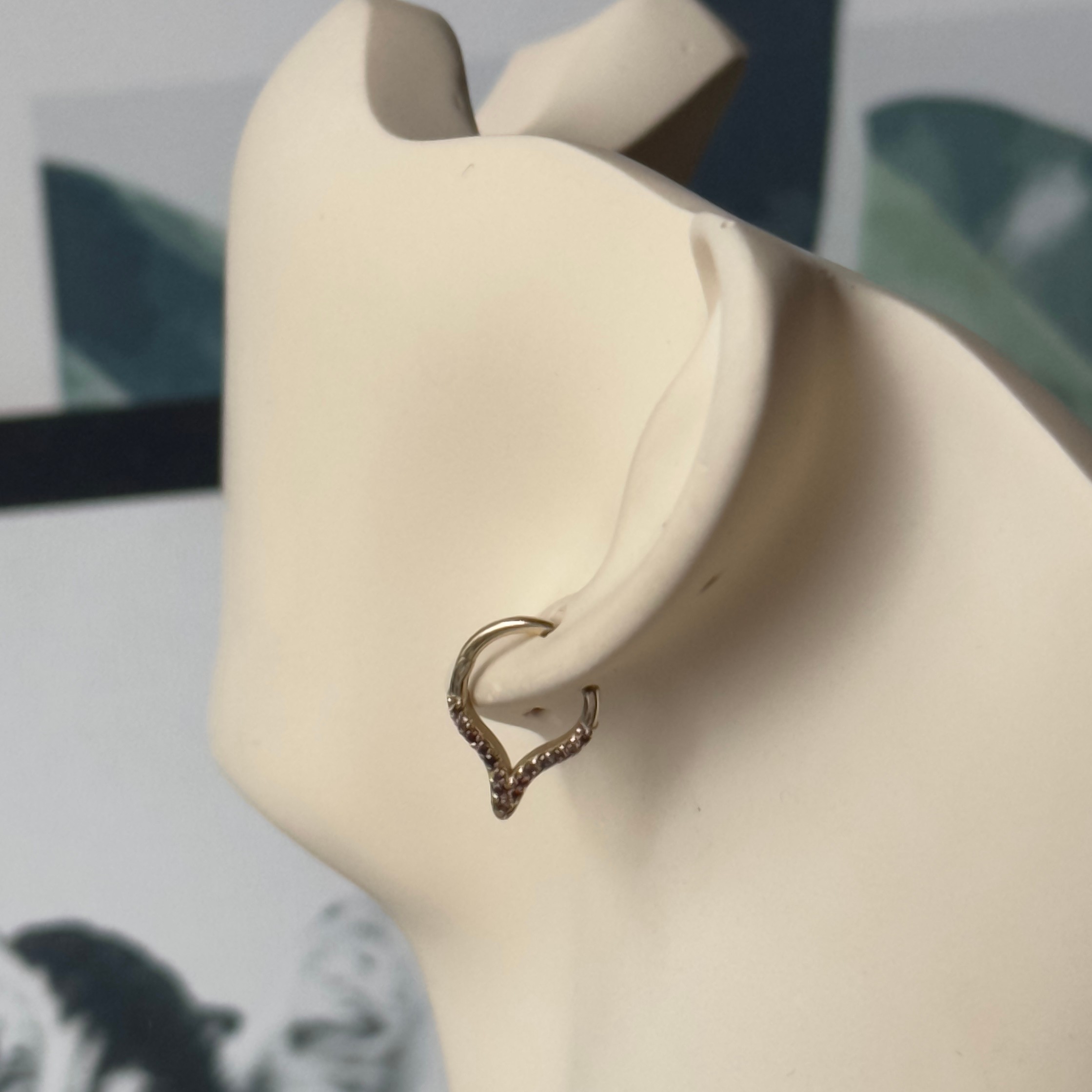 14K Gold Hoop Helix and Noise Piercing 