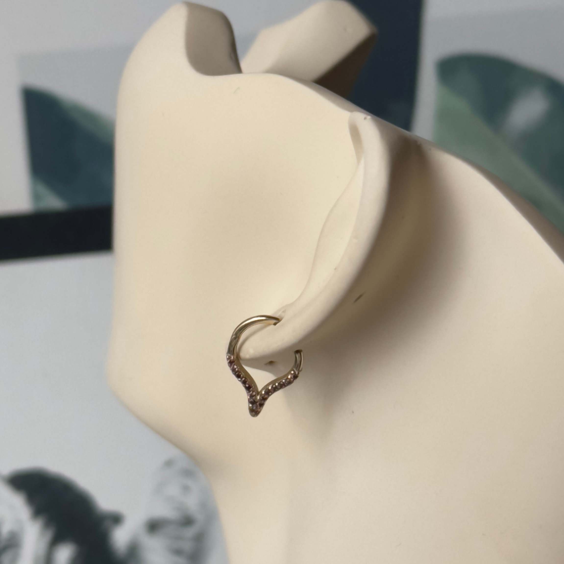 14K Gold Hoop Helix and Noise Piercing 