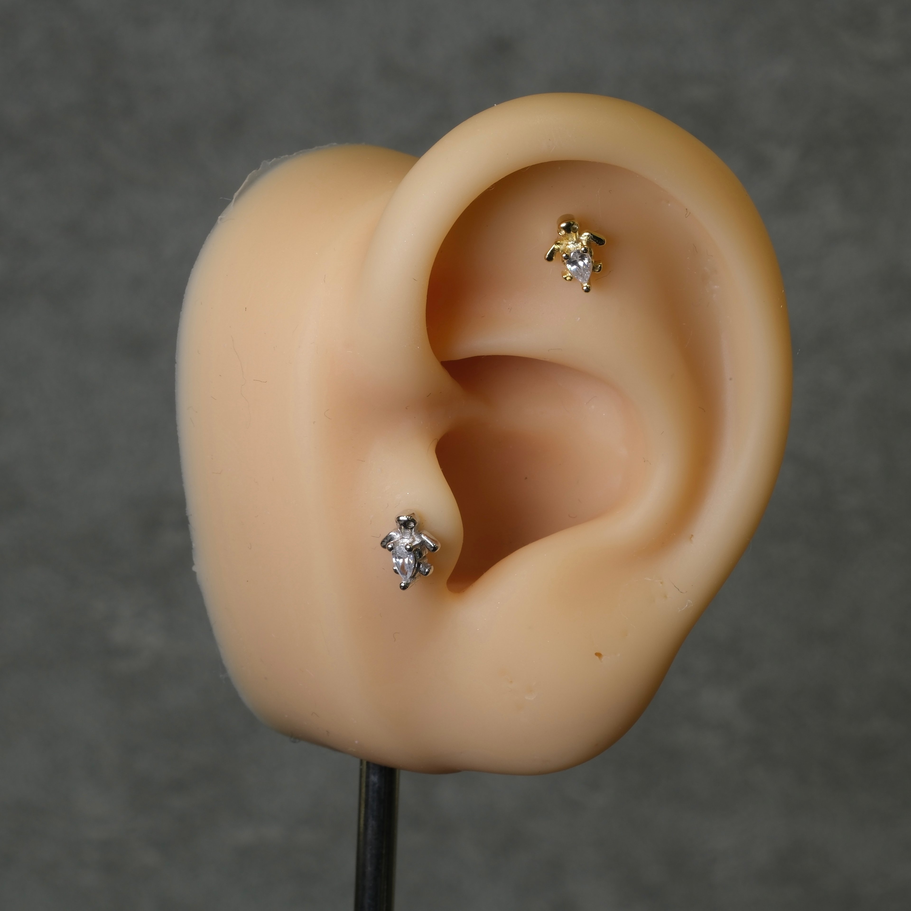 Turtle Piercing 