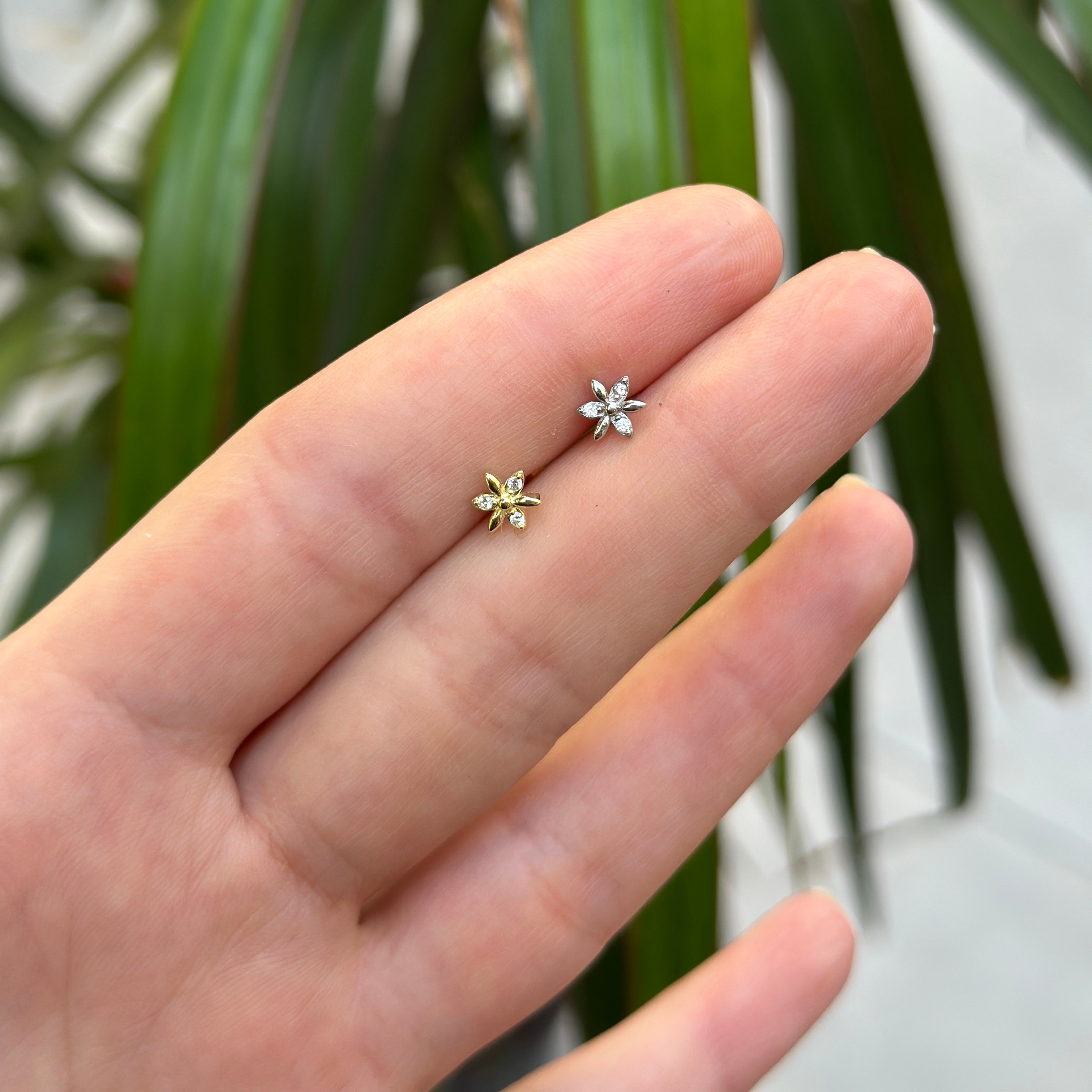 Flowering Piercing