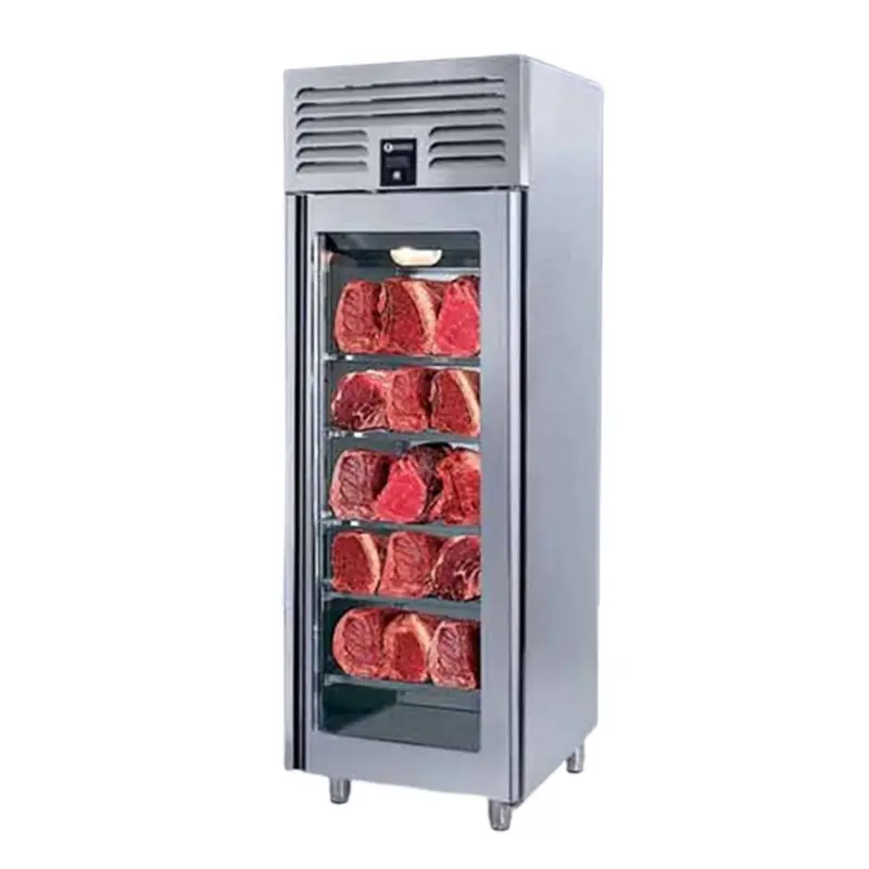 Iceinox Dry Aged Dolap, 1 Kapılı - Güçlü Mutfak