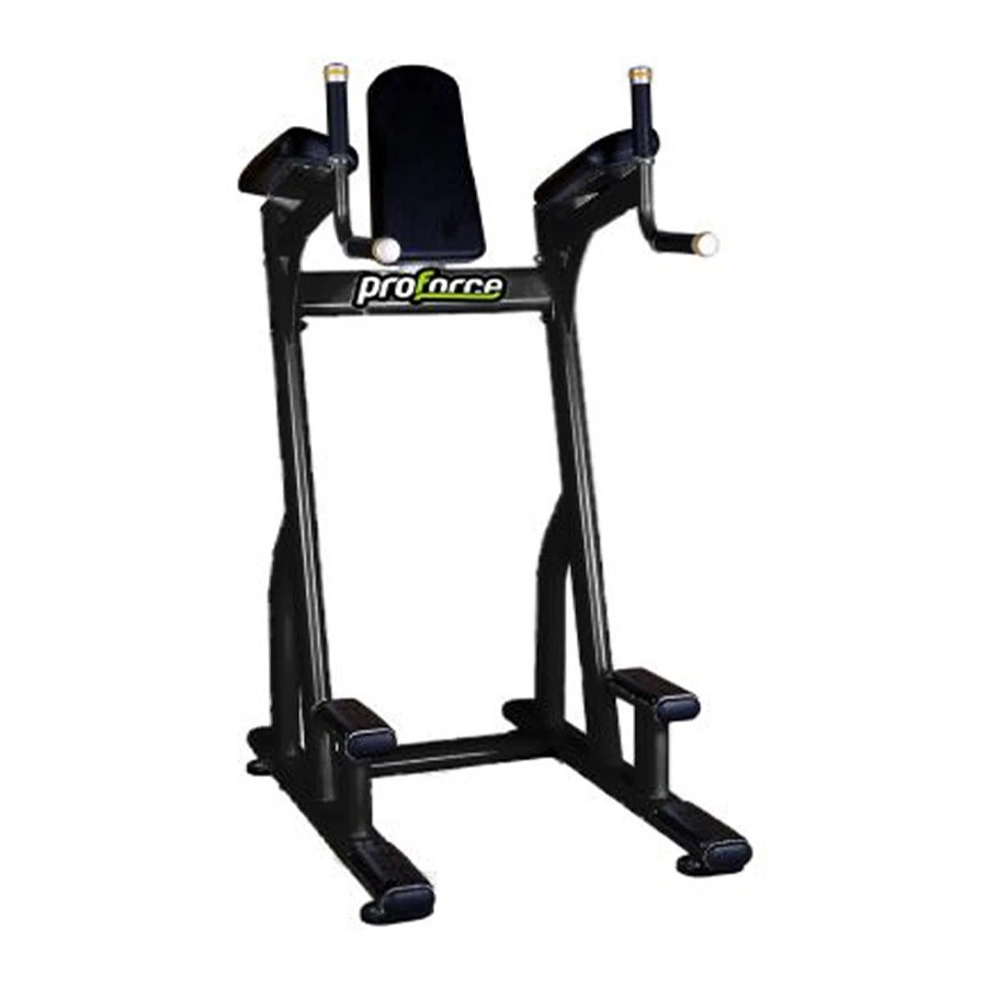 BS 10 - Vertical Knee Raise
