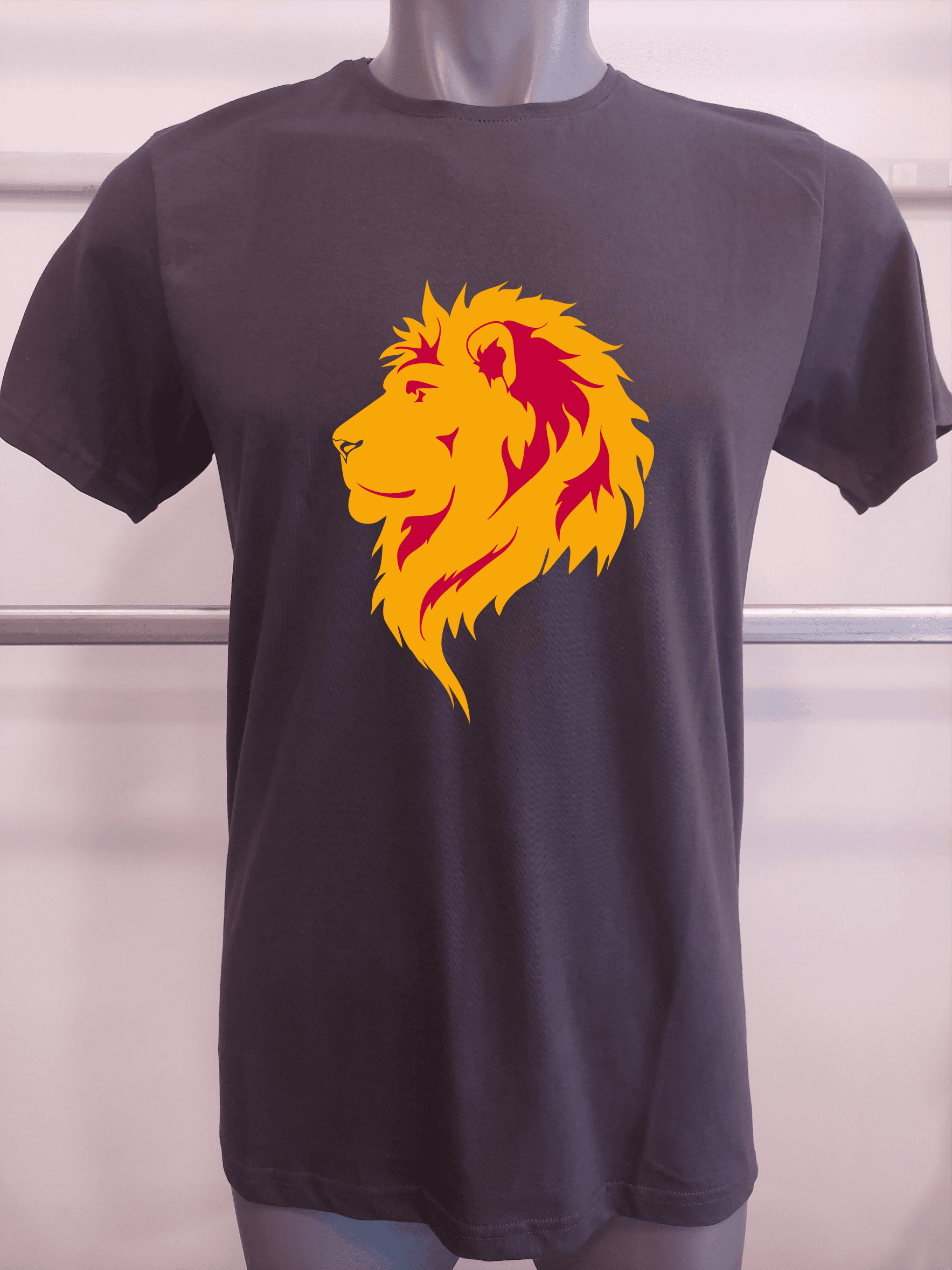 BASKILI T-SHIRT - ASLAN - antrasit