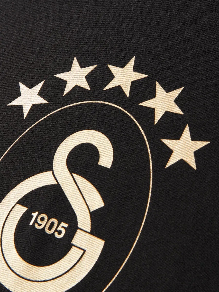 Galatasaray 5 Yıldız T-Shirt E251352