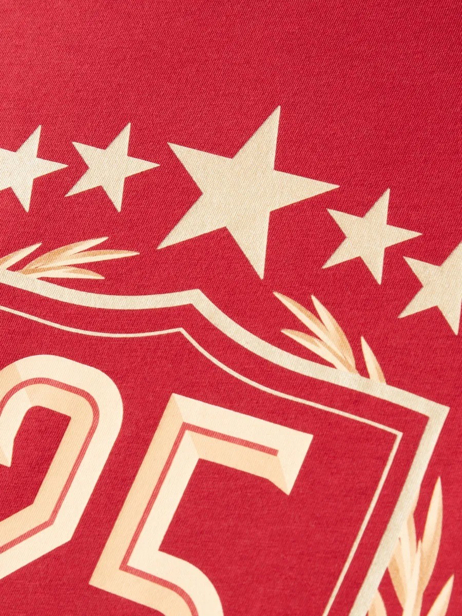 Galatasaray 25 Şampiyonluk Çocuk T-Shirt C251351