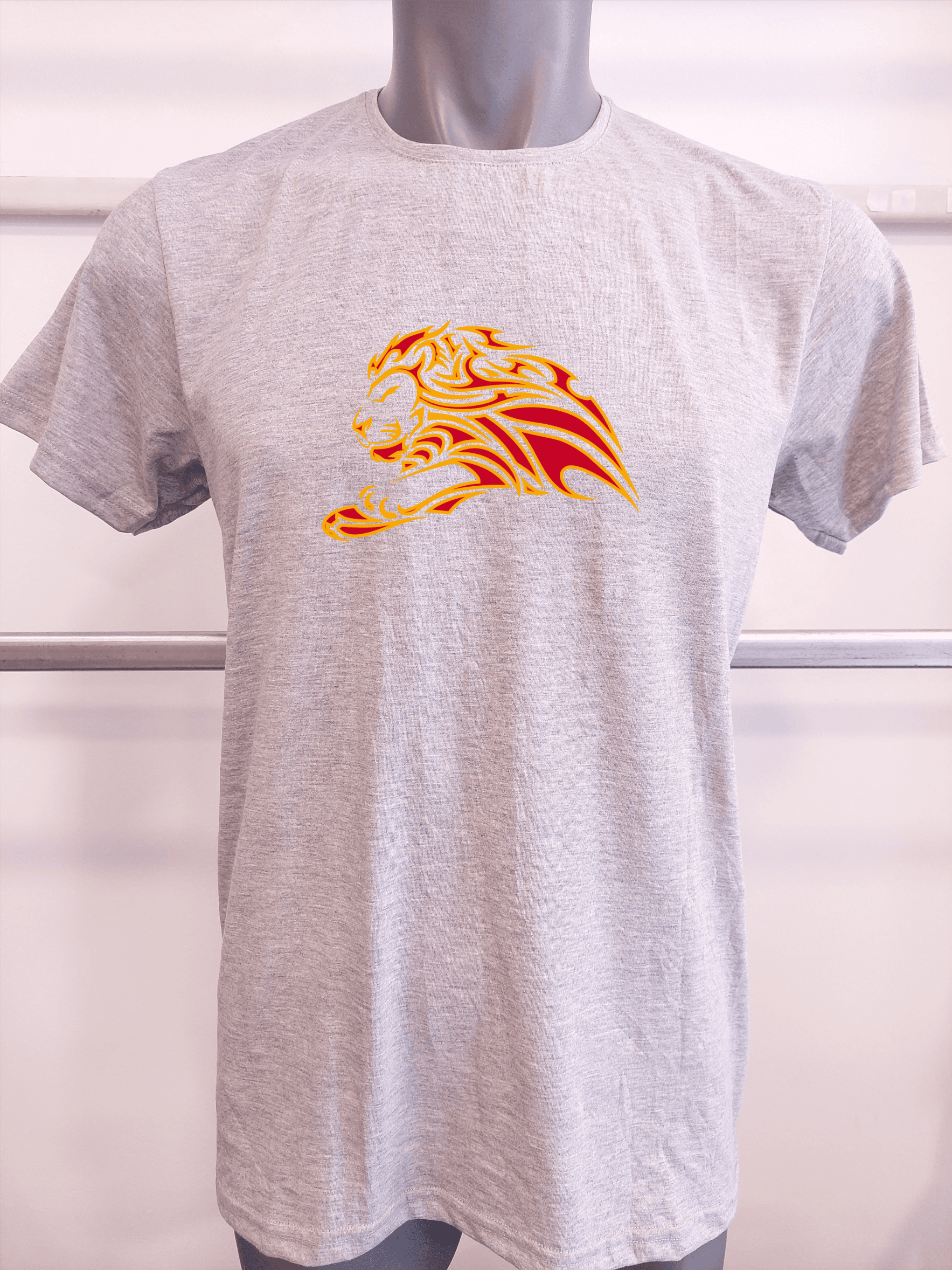 BASKILI T-SHIRT - ASLAN - Gri