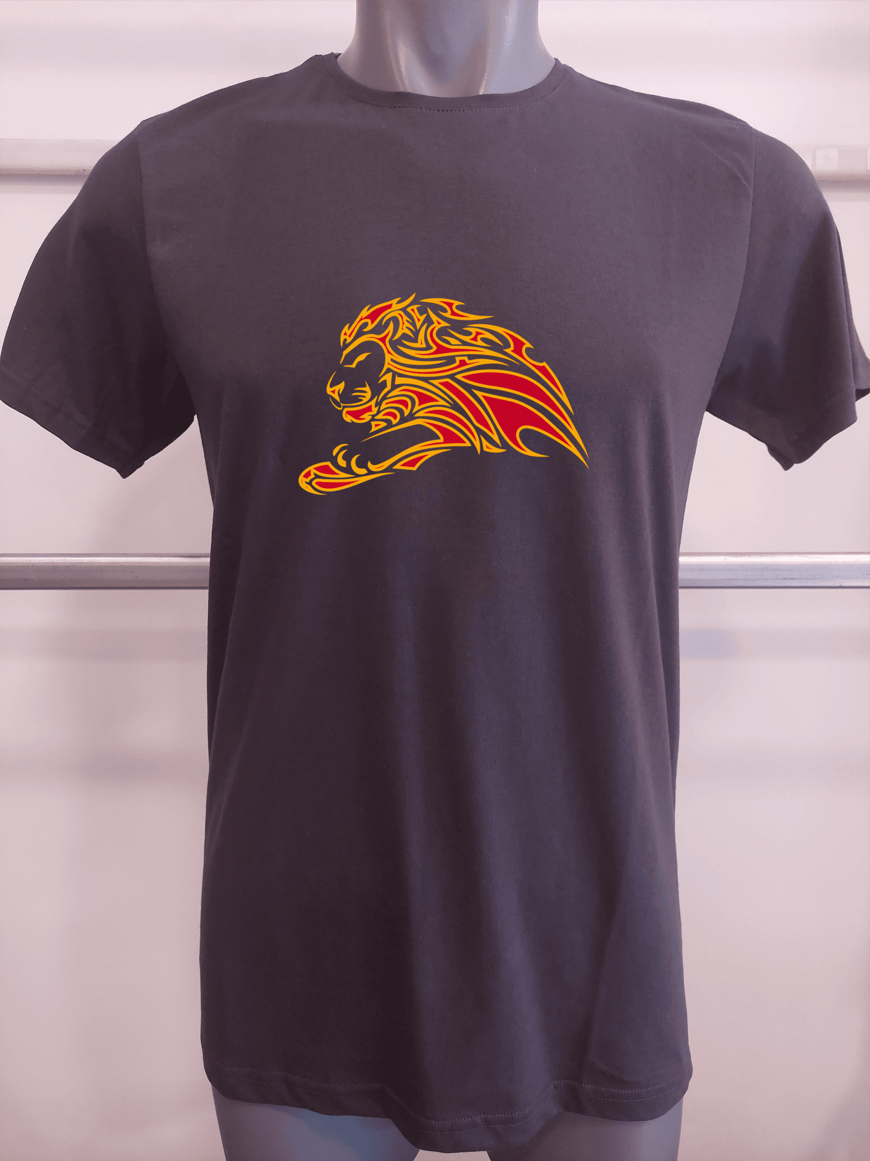 BASKILI T-SHIRT - ASLAN - antrasit