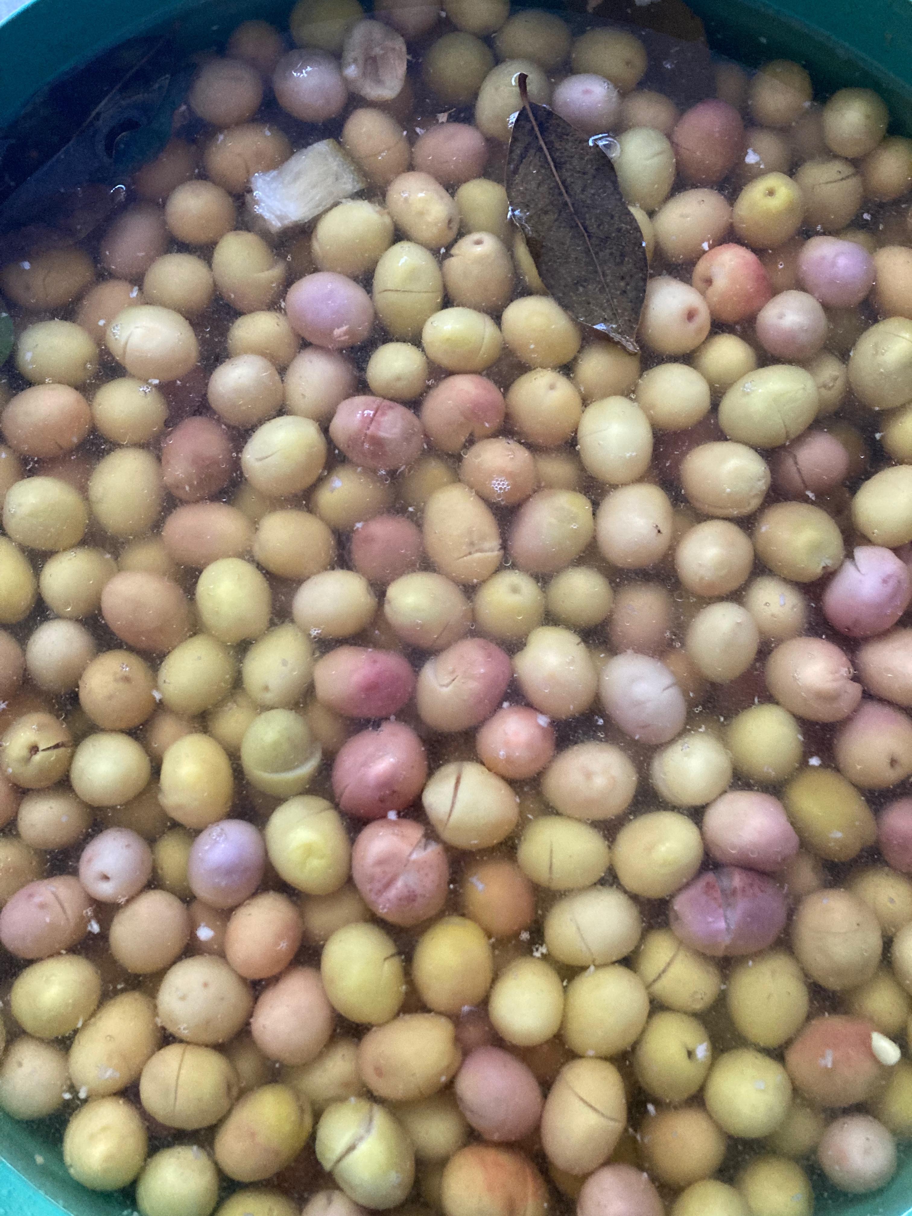 1 KG Yeşil Kırma Zeytin (Edremit)