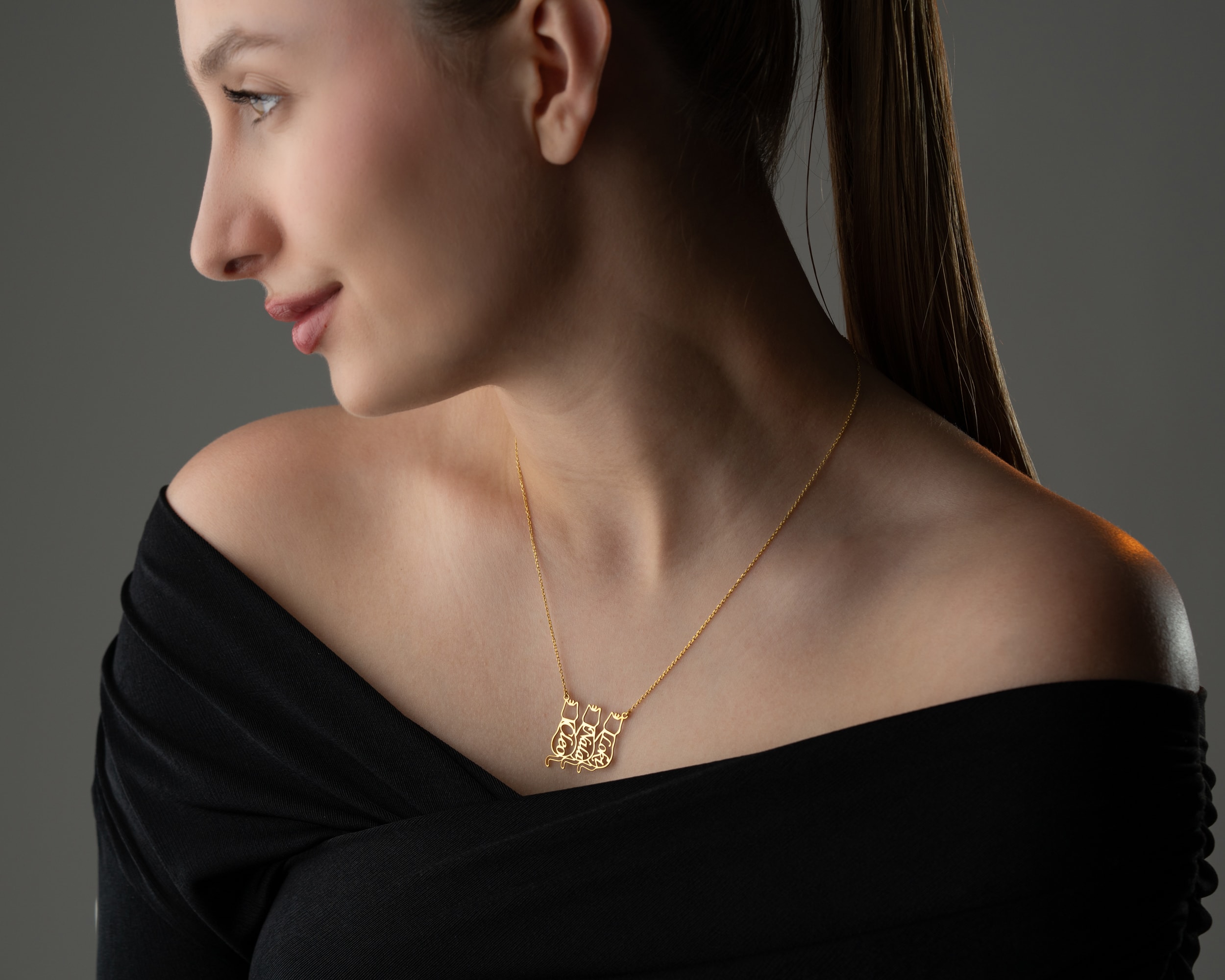 İsimli Kedi Kolye – Kişiye Özel Kedi Sever Kolyesi | Gold, Rose, Gümüş