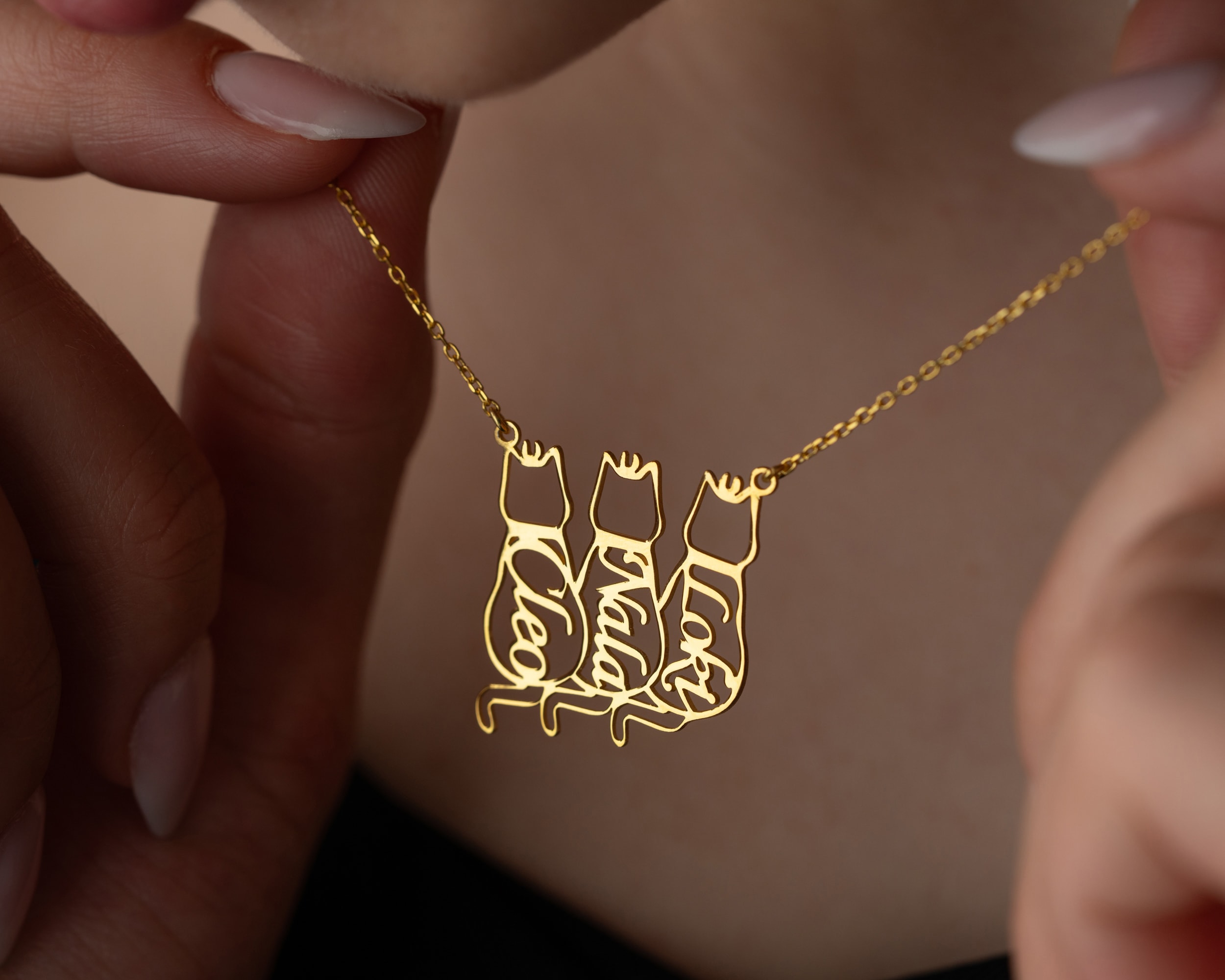 İsimli Kedi Kolye – Kişiye Özel Kedi Sever Kolyesi | Gold, Rose, Gümüş