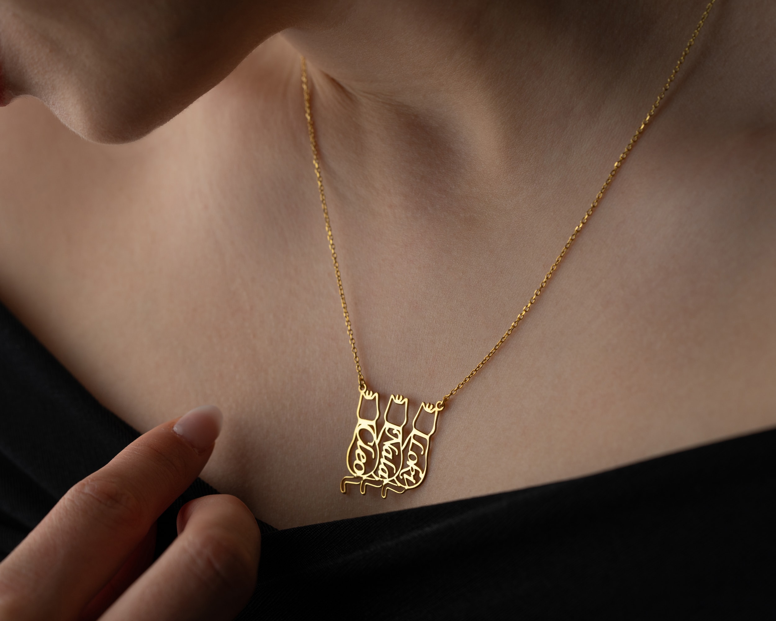 İsimli Kedi Kolye – Kişiye Özel Kedi Sever Kolyesi | Gold, Rose, Gümüş