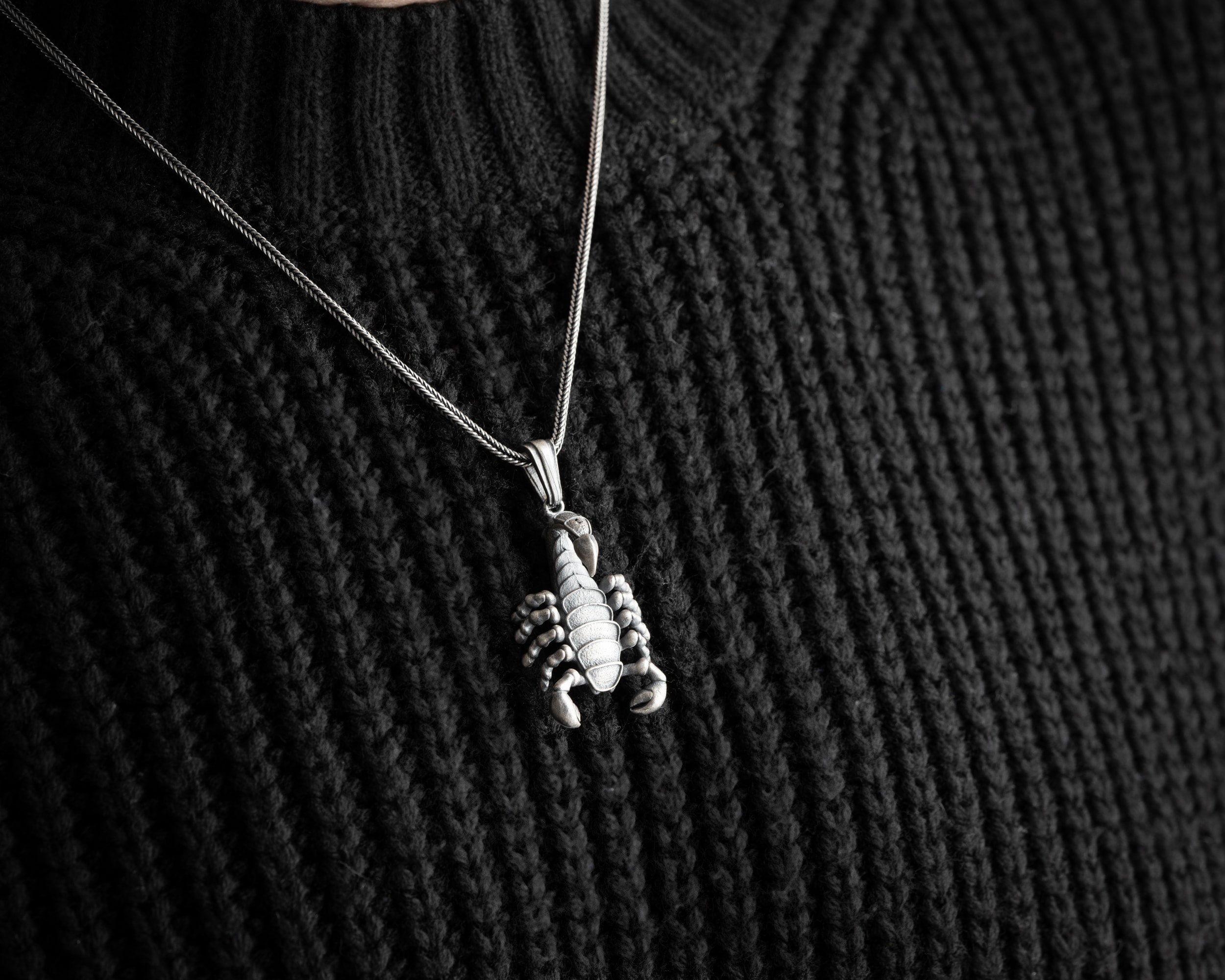 Akrep Erkek Kolye | Tilki Kuyruğu Zincirli Anlamlı ve Şık Tasarım