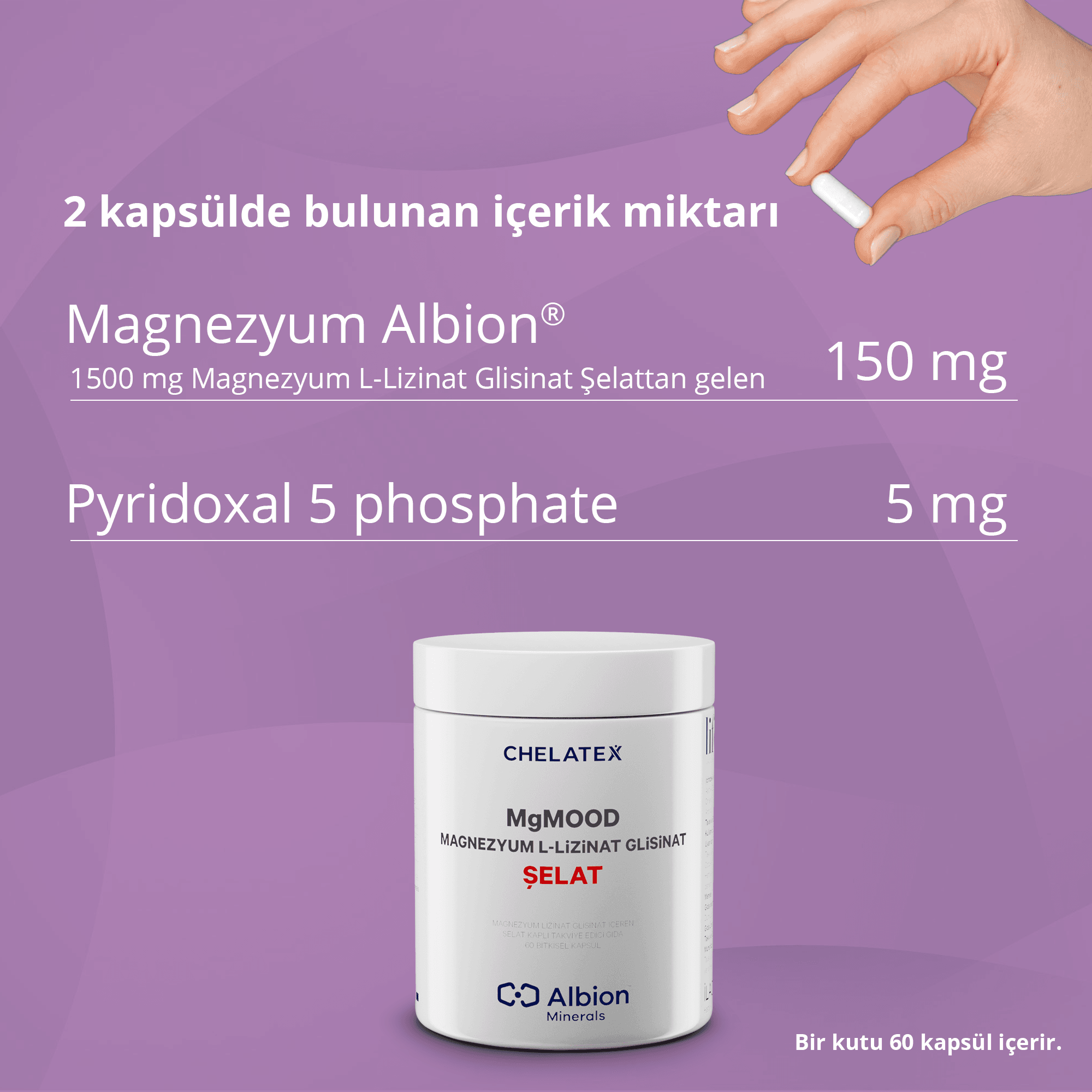 MgMood Magnezyum L-Lizinat Glisinat Şelat 60 Kapsül