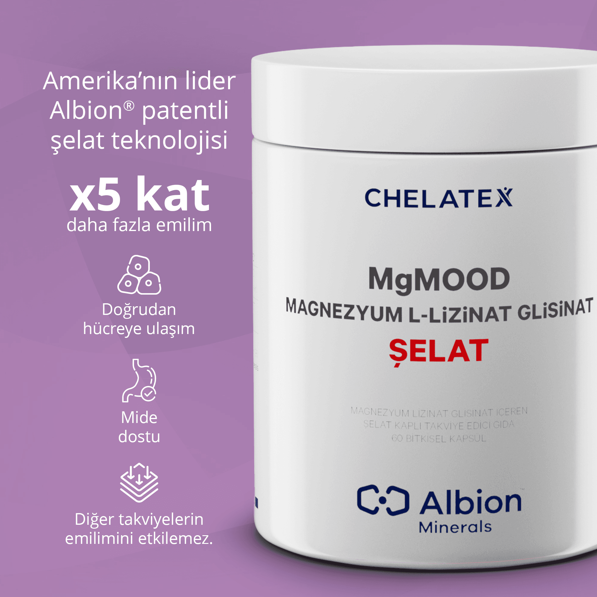 MgMood Magnezyum L-Lizinat Glisinat Şelat 60 Kapsül