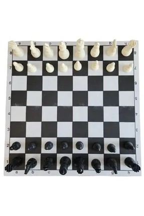 Çift Oyun Aletleri Ahşap Tabla Satranç Satranç Takımı