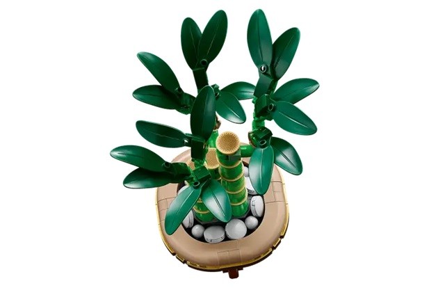 LEGO Botanicals Şans Bambusu Doğasever Yetişkinler için Dekoratif Bitki Yapım Seti