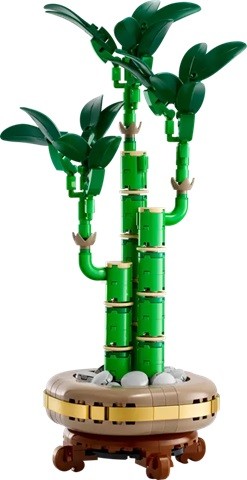 LEGO Botanicals Şans Bambusu Doğasever Yetişkinler için Dekoratif Bitki Yapım Seti