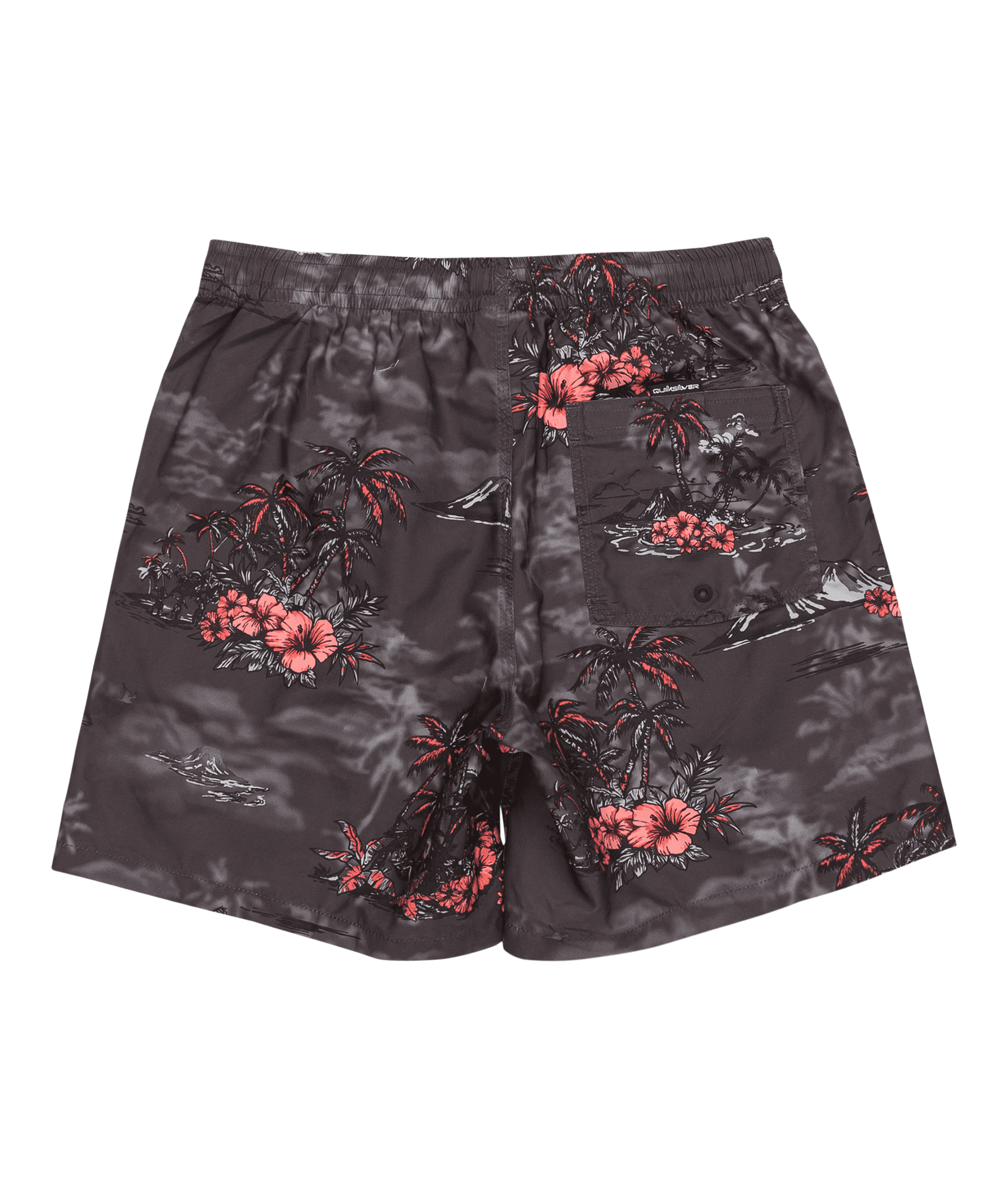 Quiksilver Longmanhill Volley Erkek Şort EQYJV04063-Tarmac