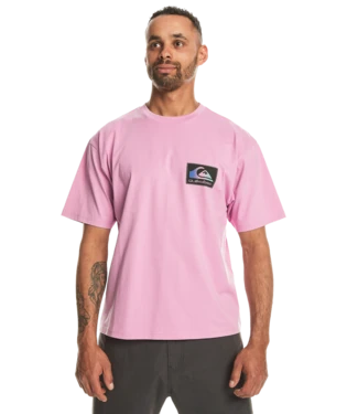 Quiksilver BACK FLASH SS ERKEK T-SHIRT