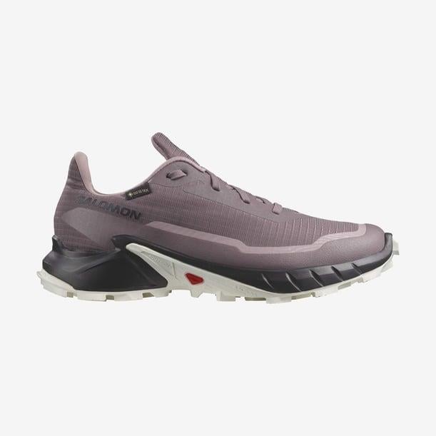 Salomon Alphacross 5 GTX  W Kadın Outdoor Ayakkabı L47311000 Moonscape/Black/White