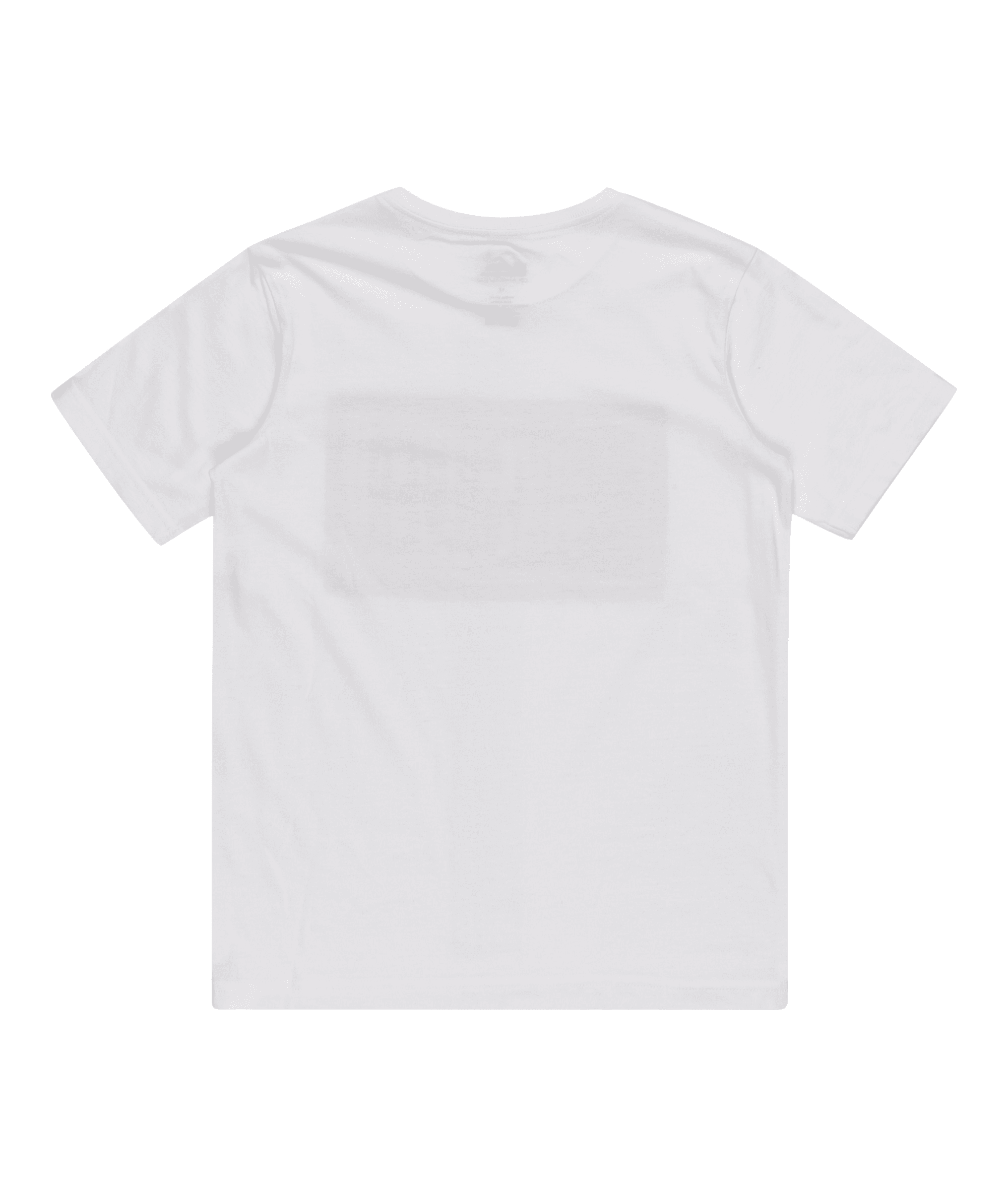 Quiksilver DAY TRIPPER SS YOUTH ÇOCUK T-SHIRT