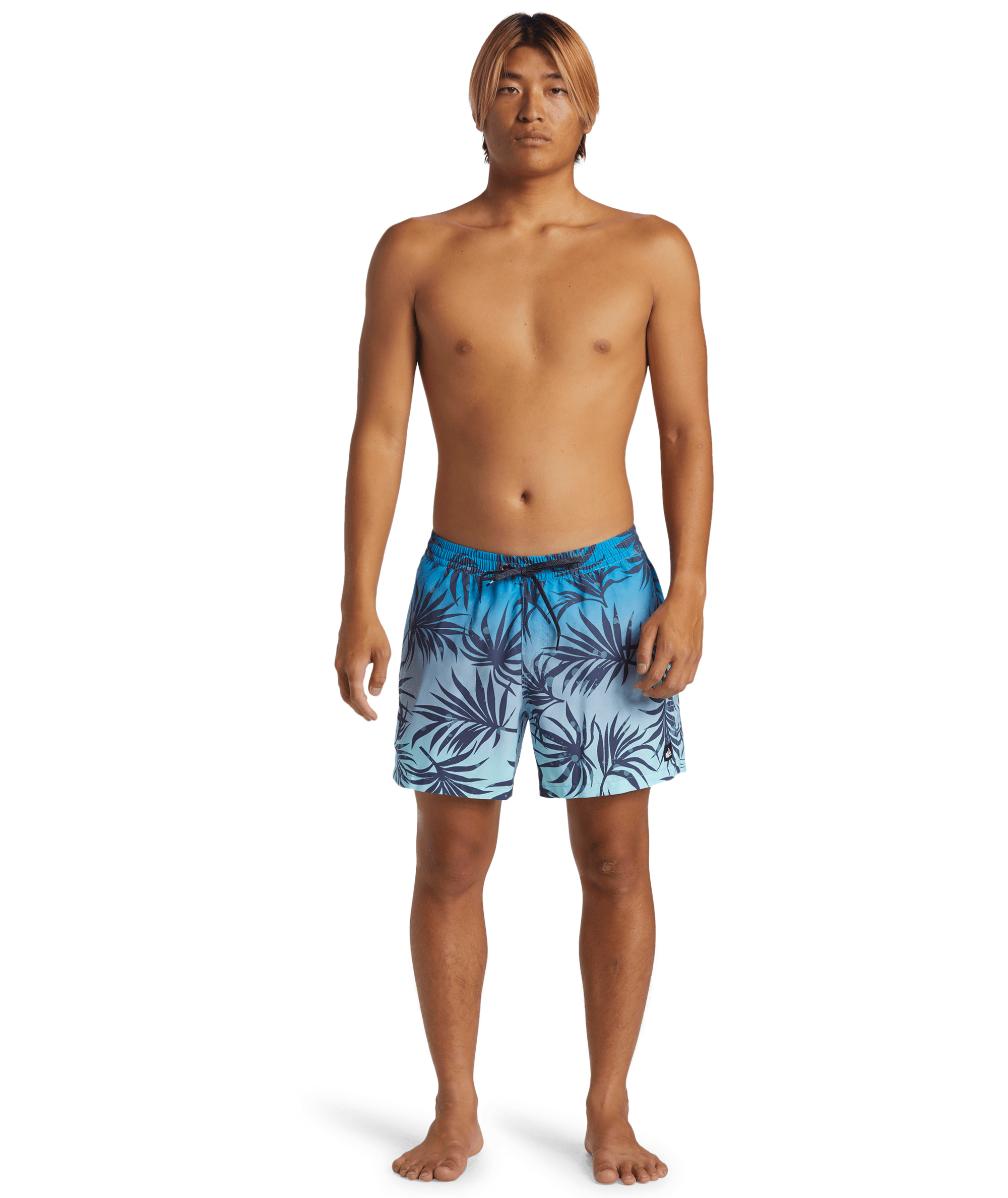 Quiksilver Everyday Mix Volley 15inç Erkek Şort AQYJV03147-BGJ6 Blue Fog