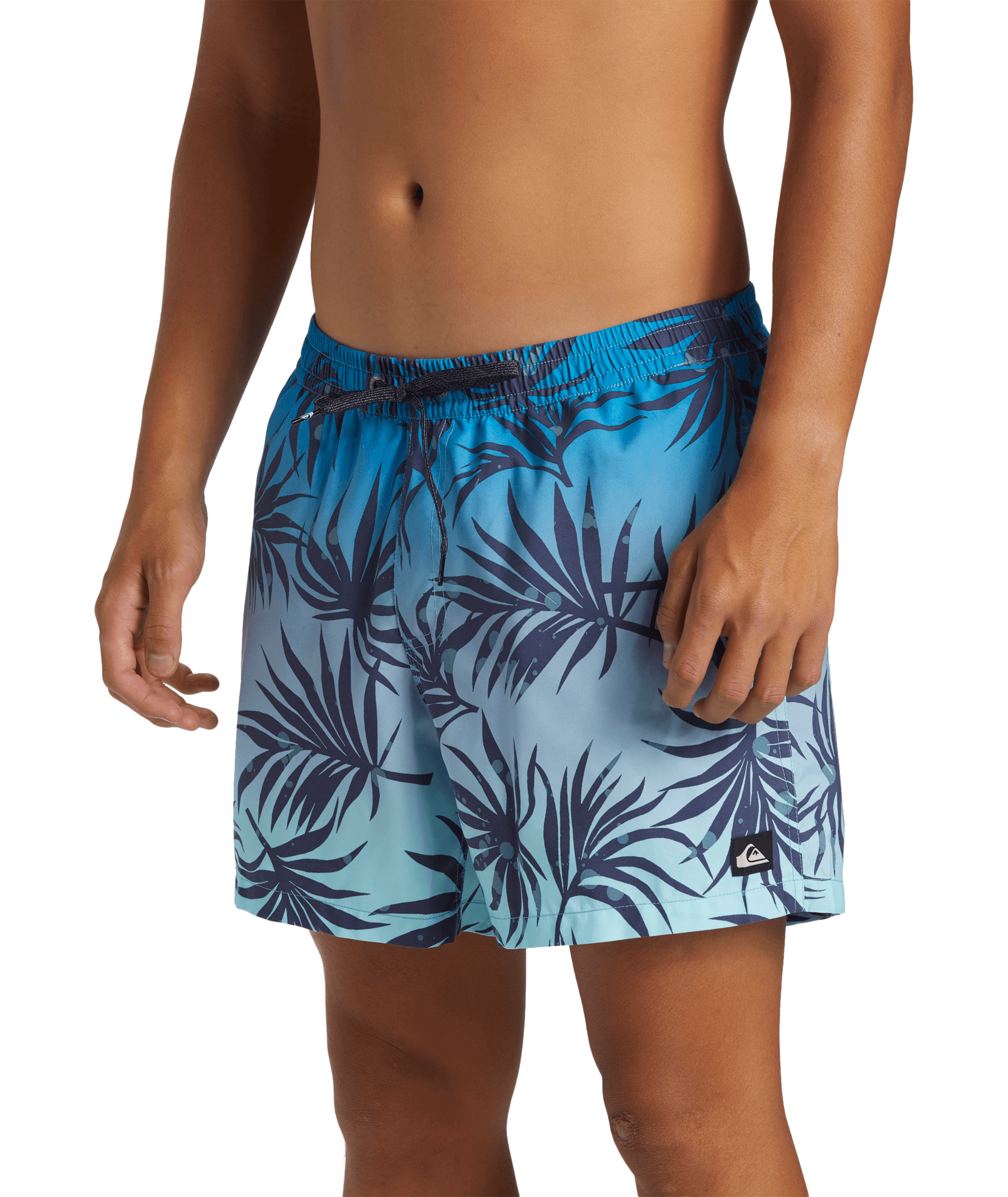 Quiksilver Everyday Mix Volley 15inç Erkek Şort AQYJV03147-BGJ6 Blue Fog