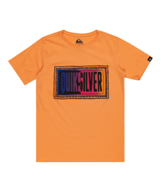 Quiksilver DAY TRIPPER SS YOUTH ÇOCUK T-SHIRT