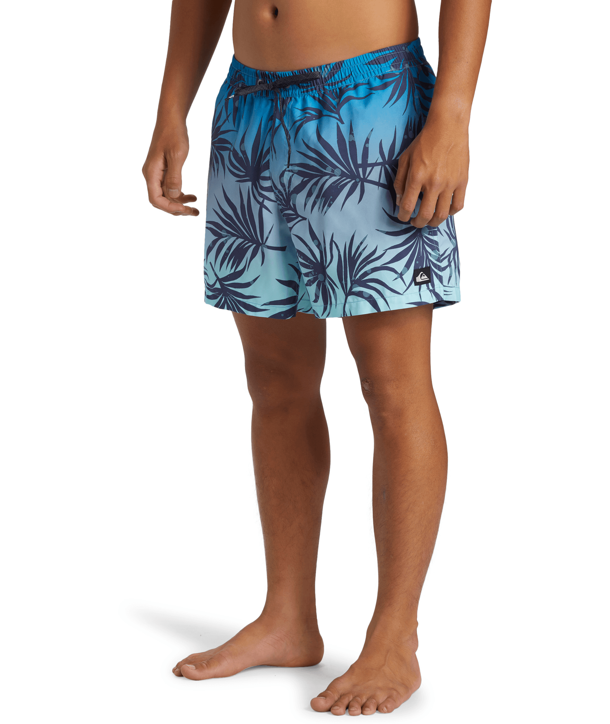 Quiksilver Everyday Mix Volley 15inç Erkek Şort AQYJV03147-BGJ6 Blue Fog