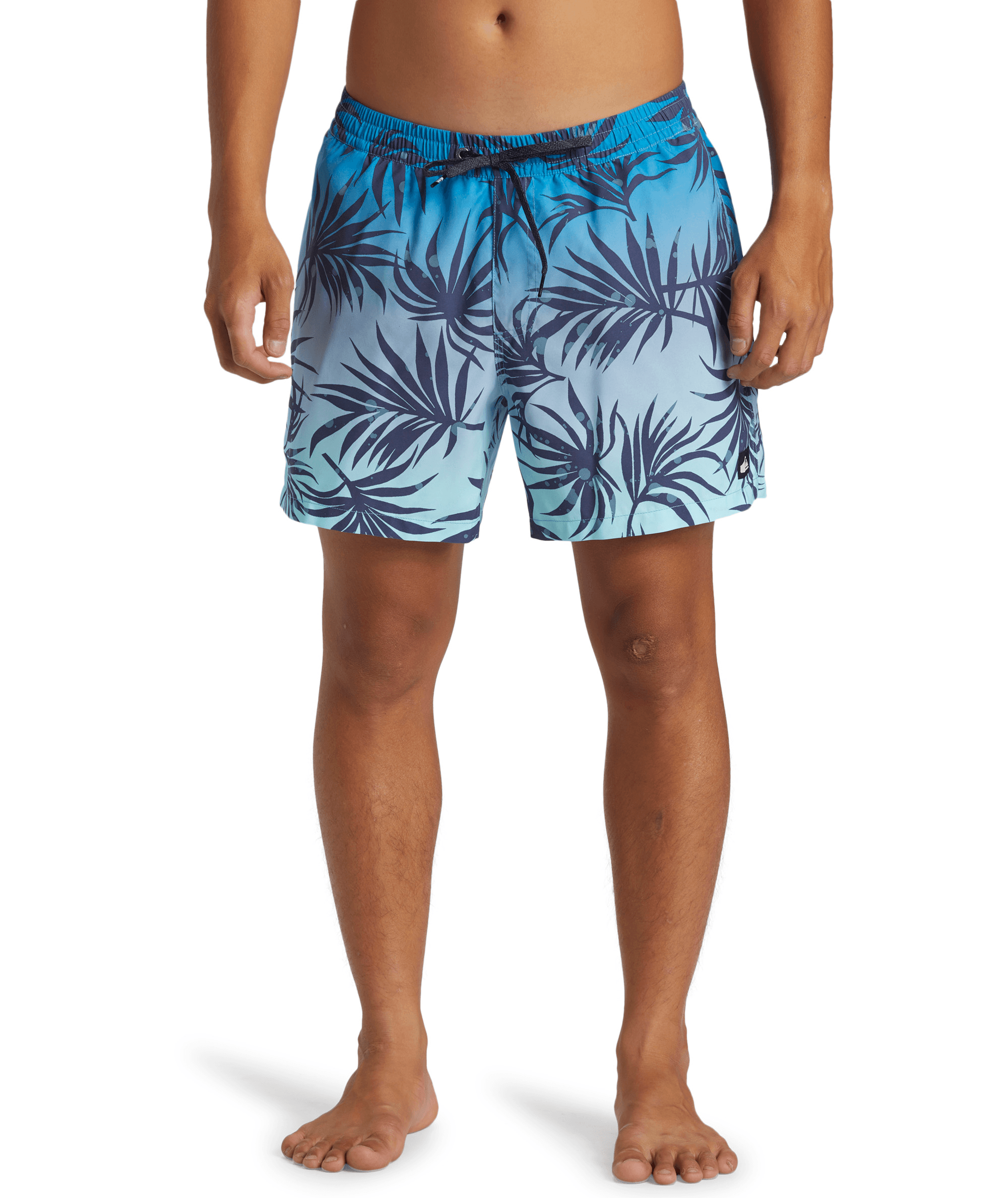 Quiksilver Everyday Mix Volley 15inç Erkek Şort AQYJV03147-BGJ6 Blue Fog